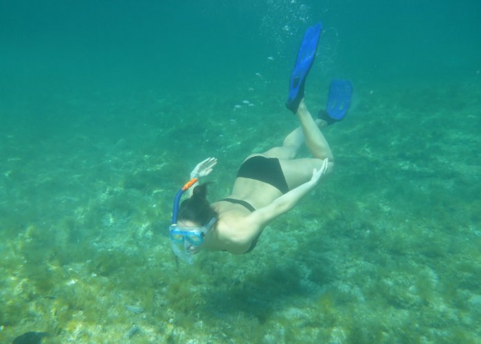 Guide for Snorkelers in Greece - What to look out for