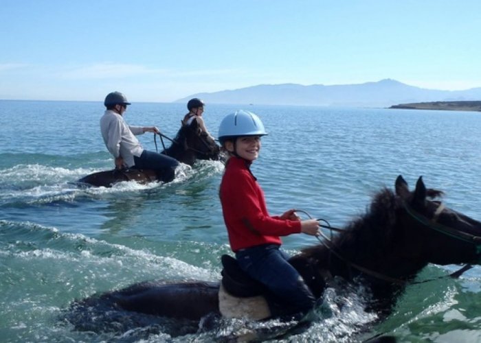 Swimming with Horses in Paros